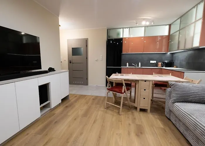 Przestronny W Sosnowcu, Miejsce Parkingowe W Hali Garażowej Apartament *